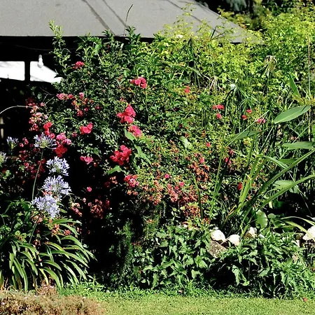 Country House